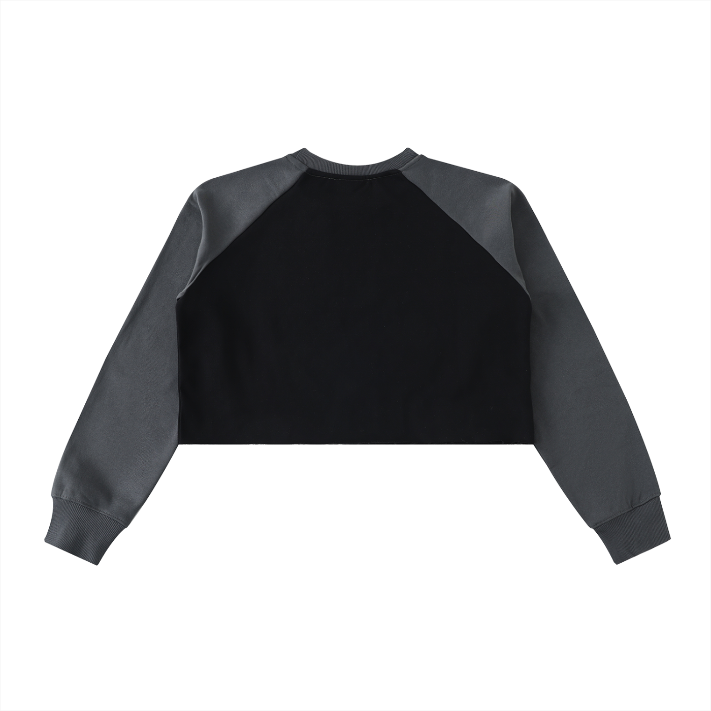 ASTRO Cropped Sweatshirt
