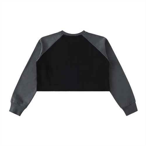 ASTRO Cropped Sweatshirt