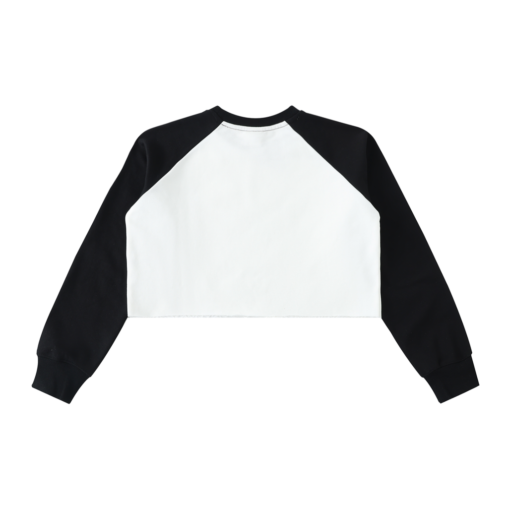 ASTRO Cropped Sweatshirt