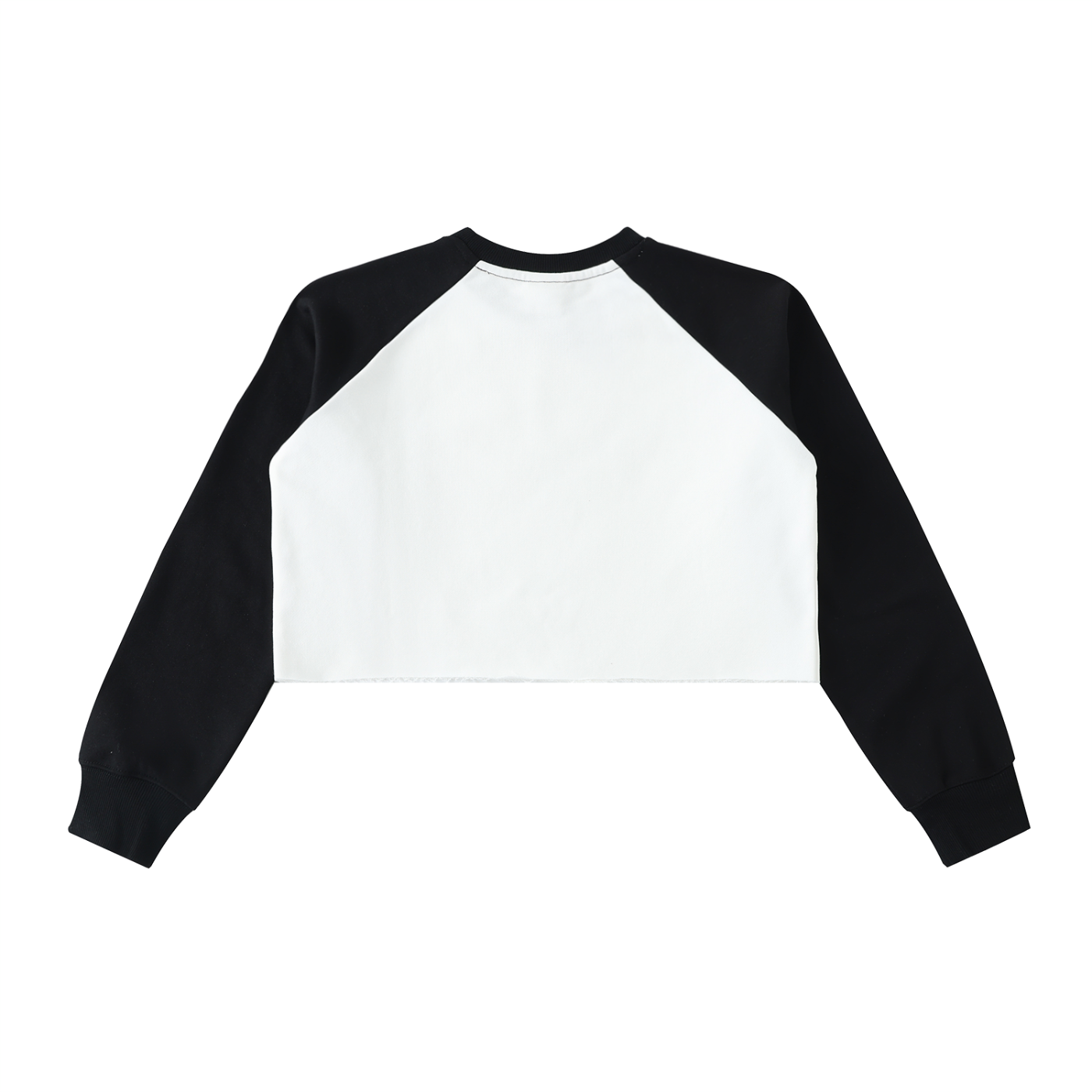 ASTRO Cropped Sweatshirt