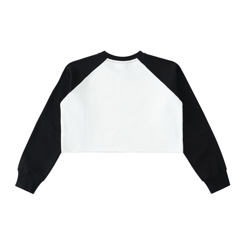 ASTRO Cropped Sweatshirt